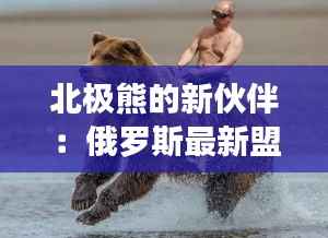 北极熊的新伙伴:俄罗斯最新盟友揭秘