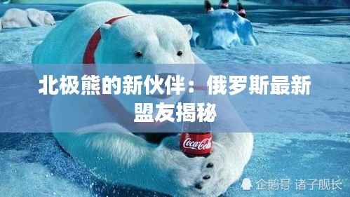 北极熊的新伙伴:俄罗斯最新盟友揭秘