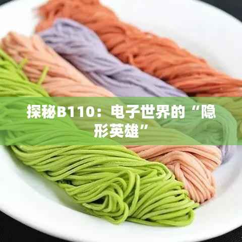 探秘B110:电子世界的“隐形英雄”