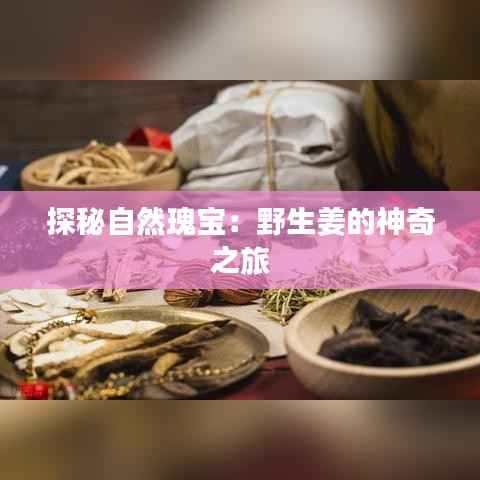 探秘自然瑰宝:野生姜的神奇之旅