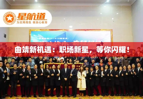 ic芯片采购 第479页