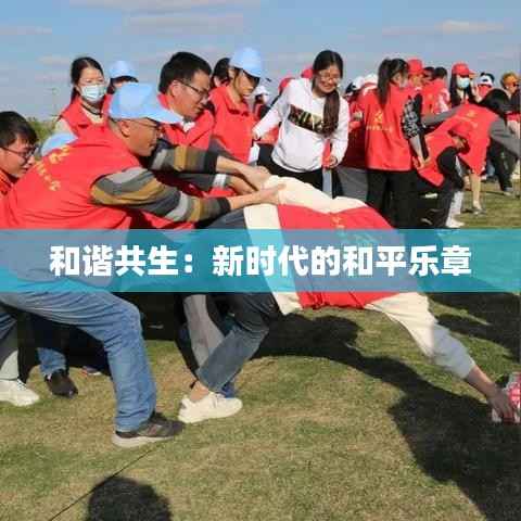 和谐共生:新时代的和平乐章