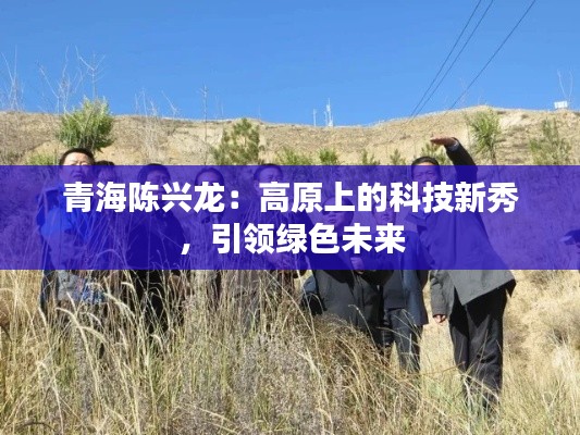 青海陈兴龙:高原上的科技新秀,引领绿色未来