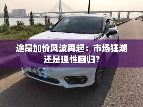 途昂加价风波再起:市场狂潮还是理性回归?