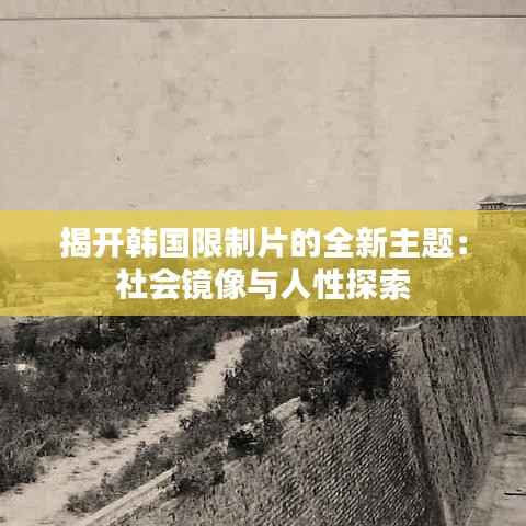 揭开韩国限制片的全新主题:社会镜像与人性探索