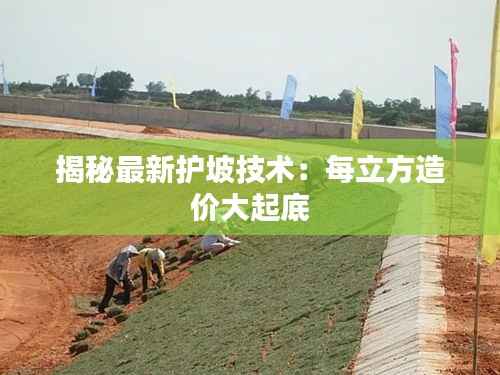 揭秘最新护坡技术:每立方造价大起底