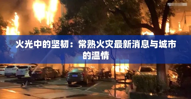 火光中的坚韧:常熟火灾最新消息与城市的温情