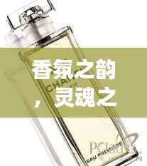 香氛之韵,灵魂之魅:香奈儿五号香水的传奇之旅