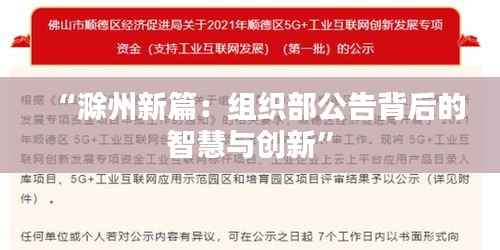 “滁州新篇：组织部公告背后的智慧与创新”