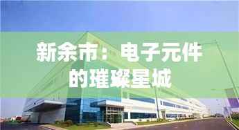 新余市:电子元件的璀璨星城