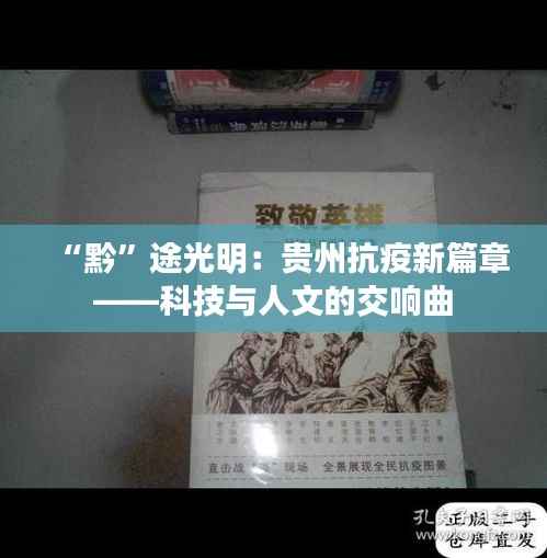 “黔”途光明:贵州抗疫新篇章——科技与人文的交响曲