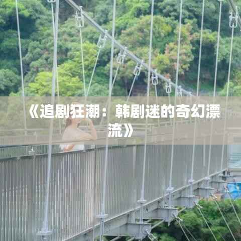 《追剧狂潮:韩剧迷的奇幻漂流》