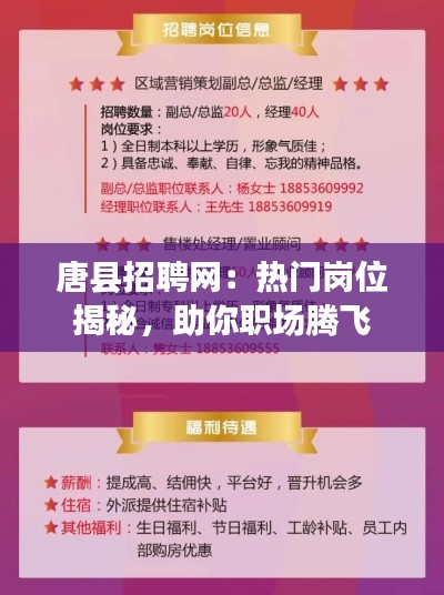 唐县招聘网:热门岗位揭秘,助你职场腾飞