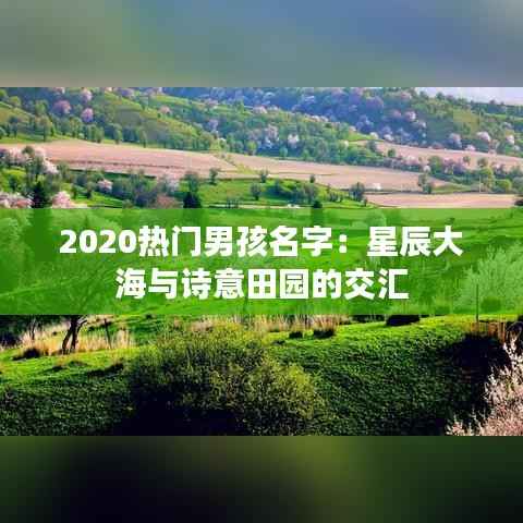 2020热门男孩名字:星辰大海与诗意田园的交汇