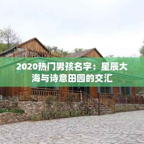 2020热门男孩名字:星辰大海与诗意田园的交汇