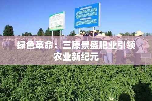 绿色革命：三原景盛肥业引领农业新纪元