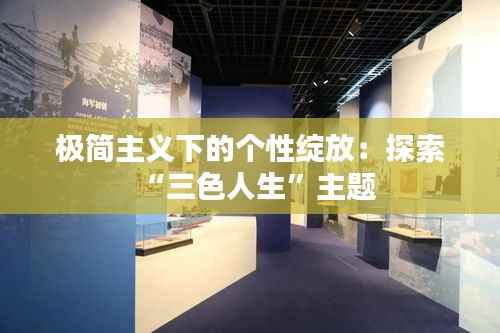 极简主义下的个性绽放:探索“三色人生”主题