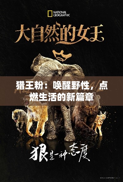 猎王粉:唤醒野性,点燃生活的新篇章