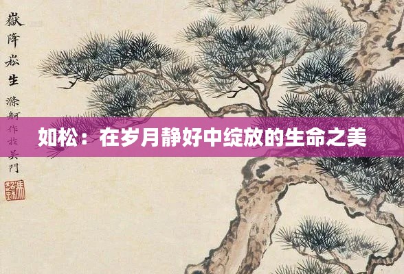 如松:在岁月静好中绽放的生命之美