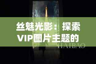丝魅光影：探索VIP图片主题的隐秘魅力