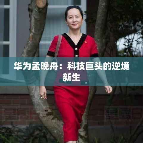 华为孟晚舟：科技巨头的逆境新生