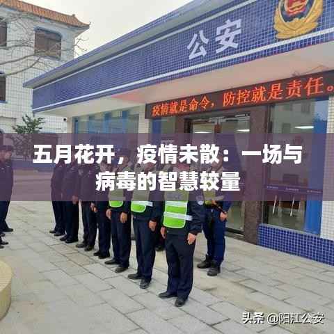 五月花开,疫情未散:一场与病毒的智慧较量