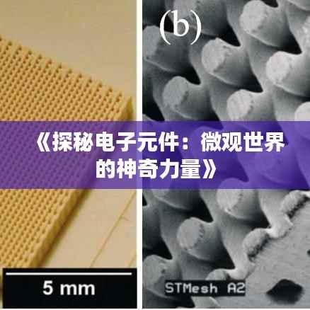 《探秘电子元件:微观世界的神奇力量》