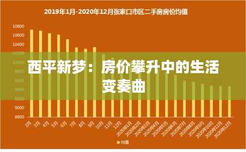 西平新梦:房价攀升中的生活变奏曲
