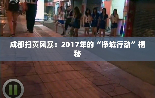 成都扫黄风暴:2017年的“净城行动”揭秘