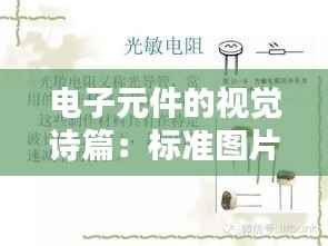 电子元件的视觉诗篇:标准图片的艺术与科学