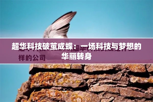 超华科技破茧成蝶：一场科技与梦想的华丽转身