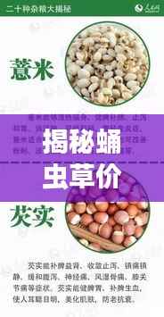 揭秘蛹虫草价格的“黄金密码”:最新价格表大公开!