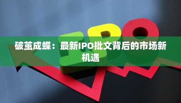 破茧成蝶：最新IPO批文背后的市场新机遇