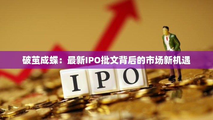 破茧成蝶:最新IPO批文背后的市场新机遇