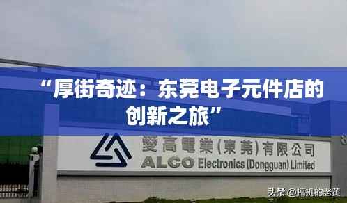 “厚街奇迹:东莞电子元件店的创新之旅”