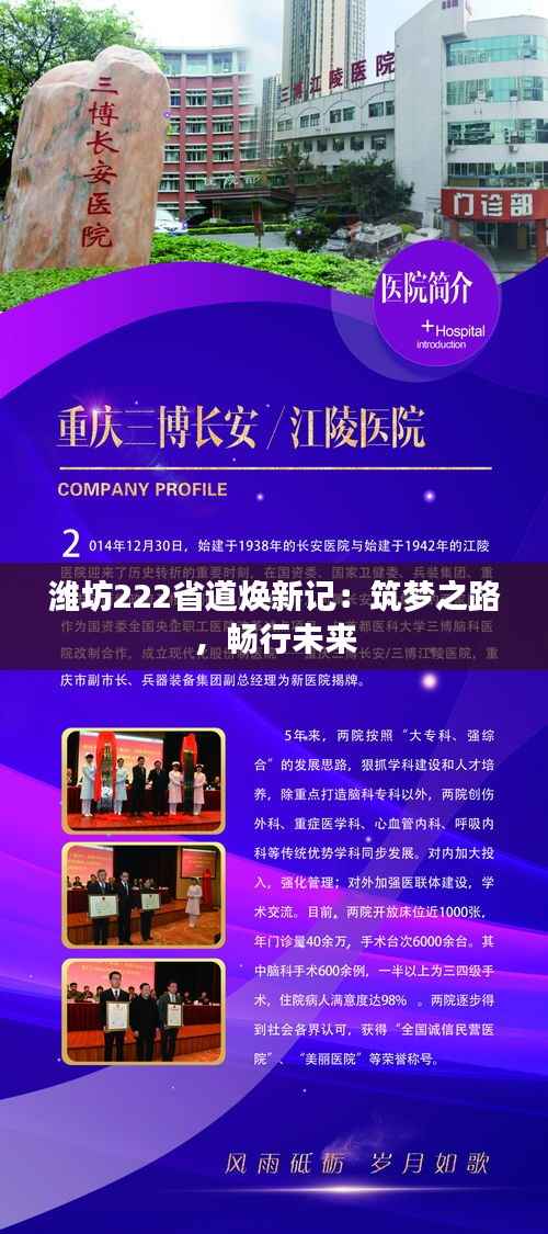 潍坊222省道焕新记：筑梦之路，畅行未来