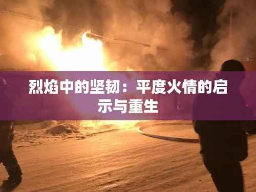烈焰中的坚韧：平度火情的启示与重生