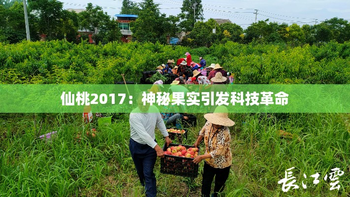仙桃2017:神秘果实引发科技革命