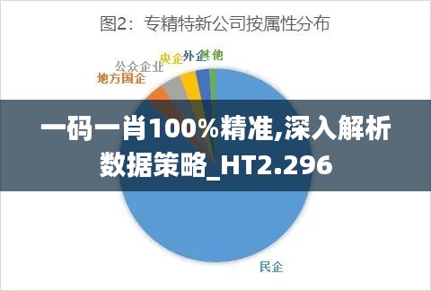 一码一肖100%精准,深入解析数据策略_HT2.296