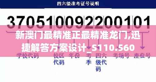 新澳门最精准正最精准龙门,迅捷解答方案设计_S110.560