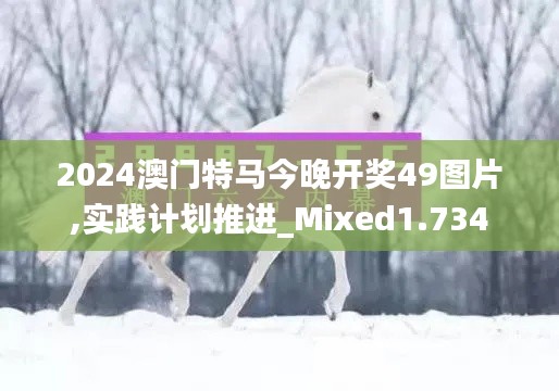 2024澳门特马今晚开奖49图片,实践计划推进_Mixed1.734