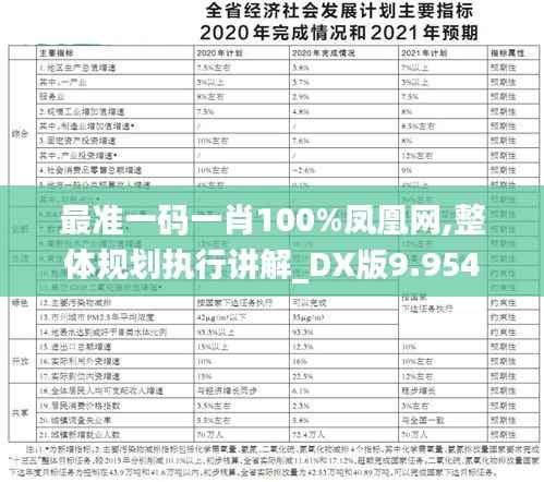 最准一码一肖100%凤凰网,整体规划执行讲解_DX版9.954