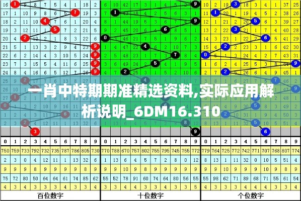 一肖中特期期准精选资料,实际应用解析说明_6DM16.310