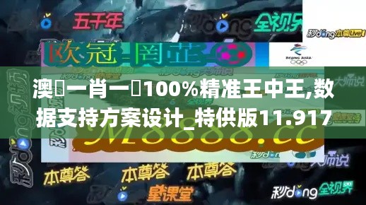 澳門一肖一碼100%精准王中王,数据支持方案设计_特供版11.917