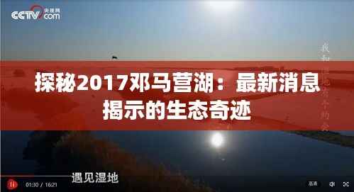 探秘2017邓马营湖:最新消息揭示的生态奇迹