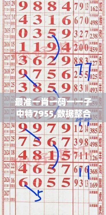 最准一肖一码一一子中特7955,数据整合计划解析_The5.861