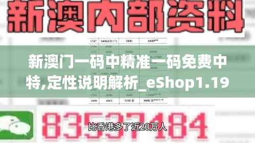 新澳门一码中精准一码免费中特,定性说明解析_eShop1.192