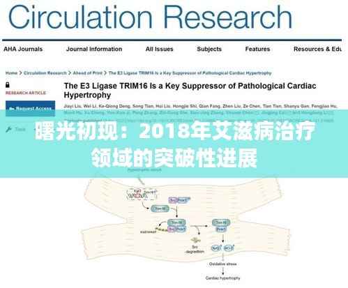 曙光初现:2018年艾滋病治疗领域的突破性进展
