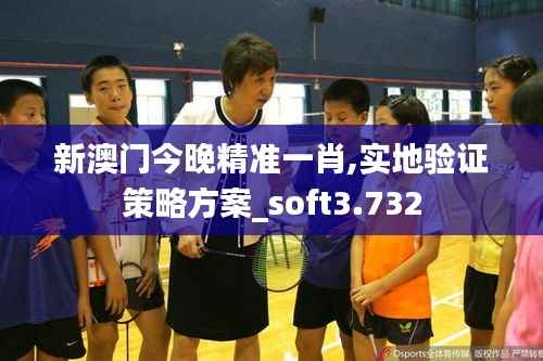 新澳门今晚精准一肖,实地验证策略方案_soft3.732