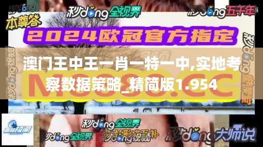 澳门王中王一肖一特一中,实地考察数据策略_精简版1.954